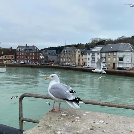 Les Du Chateau Du Cedre Holiday home Manneville-es-Plains